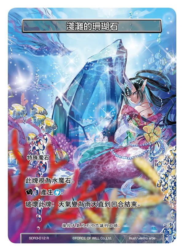 浅滩的珊瑚石