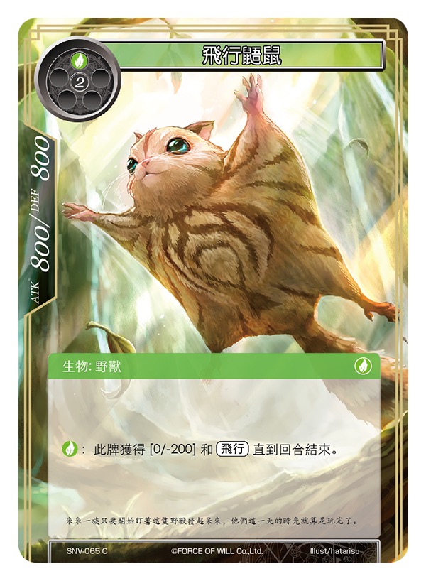 飞行鼯鼠